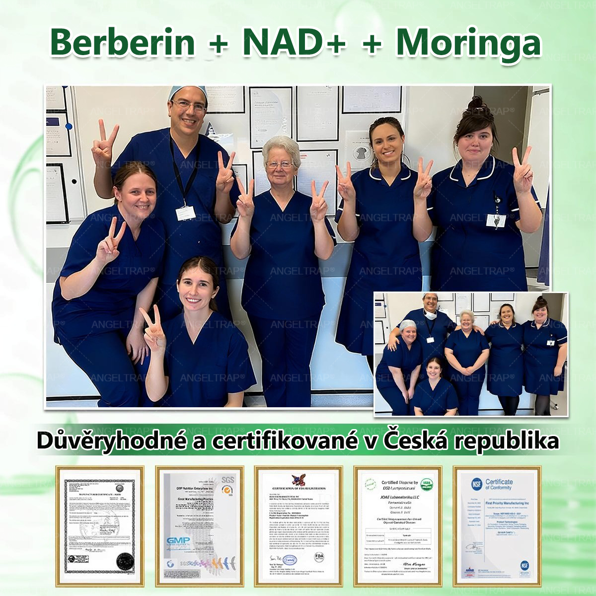 🚁🚁Oficiální prodejna  |  🧑‍⚕️ANGELTRAP® 𝐌𝐨𝐫𝐢𝐧𝐠𝐚 × 𝐁𝐞𝐫𝐛𝐞𝐫𝐲𝐧𝐚 × 𝐀𝐌𝐏𝐊 𝟏𝟎 v 1 – Zeštíhlující nano mikrojihlový náplast 🇨🇿 Jen 1× denně ✅ Viditelné změny za 7 dní – na obezitu, kardiovaskulární zdraví, diabetes a kloubní problémy