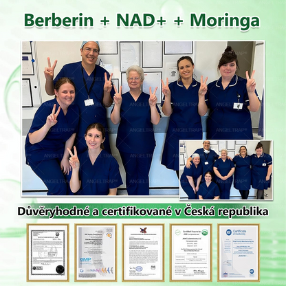 🚁🚁Oficiální prodejna  |  🧑‍⚕️ANGELTRAP® 𝐌𝐨𝐫𝐢𝐧𝐠𝐚 × 𝐁𝐞𝐫𝐛𝐞𝐫𝐲𝐧𝐚 × 𝐀𝐌𝐏𝐊 𝟏𝟎 v 1 – Zeštíhlující nano mikrojihlový náplast 🇨🇿 Jen 1× denně ✅ Viditelné změny za 7 dní – na obezitu, kardiovaskulární zdraví, diabetes a kloubní problémy