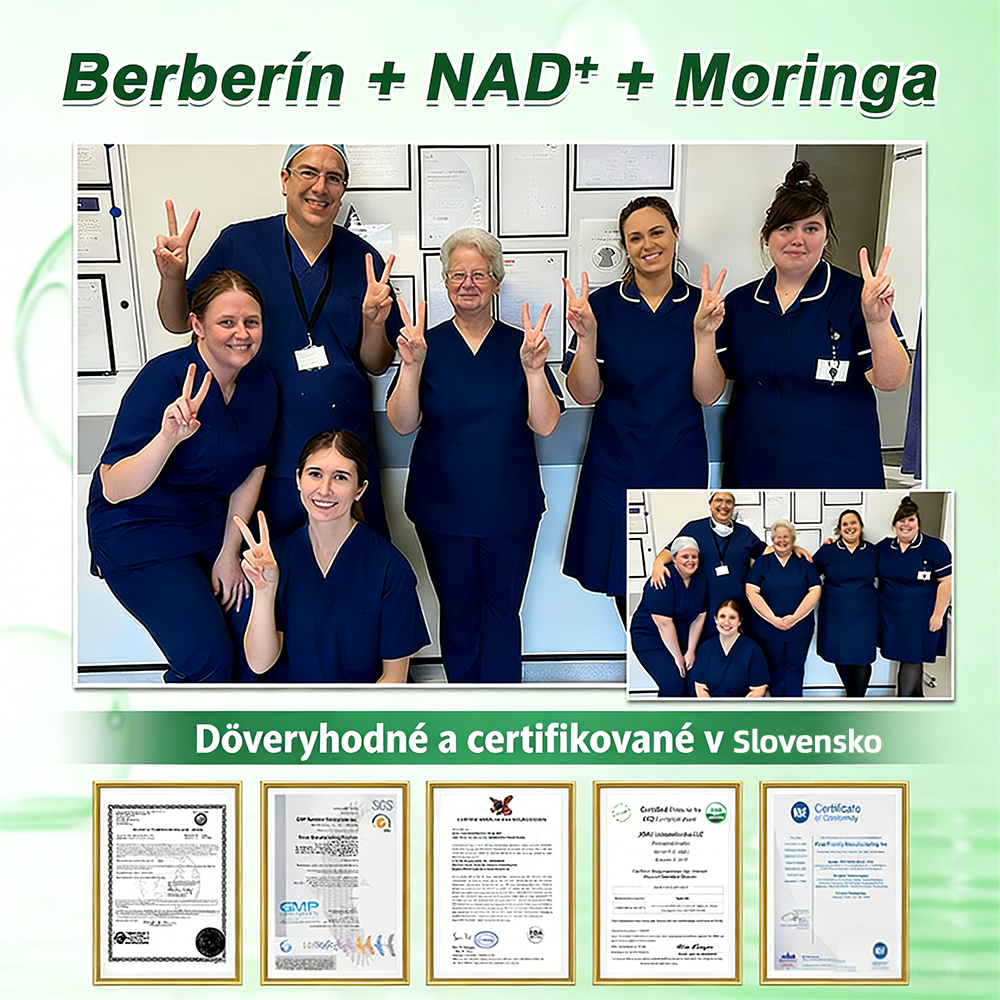 🇸🇰 𝑶𝒇𝒊𝒄𝒊á𝒍𝒏𝒚 𝒐𝒃𝒄𝒉𝒐𝒅 | 💖🎗Healrize® Moringa · Berberine × NAD+ 10-in-1 Pokročilá nano mikroihličková náplas🔴