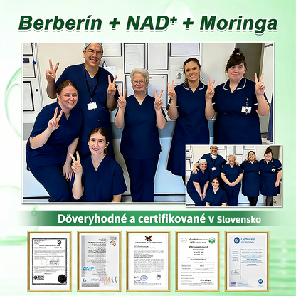 🇸🇰 𝑶𝒇𝒊𝒄𝒊á𝒍𝒏𝒚 𝒐𝒃𝒄𝒉𝒐𝒅 | 💖🎗Healrize® Moringa · Berberine × NAD+ 10-in-1 Pokročilá nano mikroihličková náplas🔴