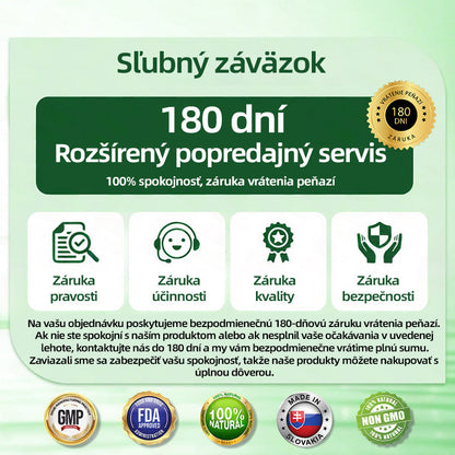 🇸🇰 𝑶𝒇𝒊𝒄𝒊á𝒍𝒏𝒚 𝒐𝒃𝒄𝒉𝒐𝒅 | 💖🎗Healrize® Moringa · Berberine × NAD+ 10-in-1 Pokročilá nano mikroihličková náplas🔴