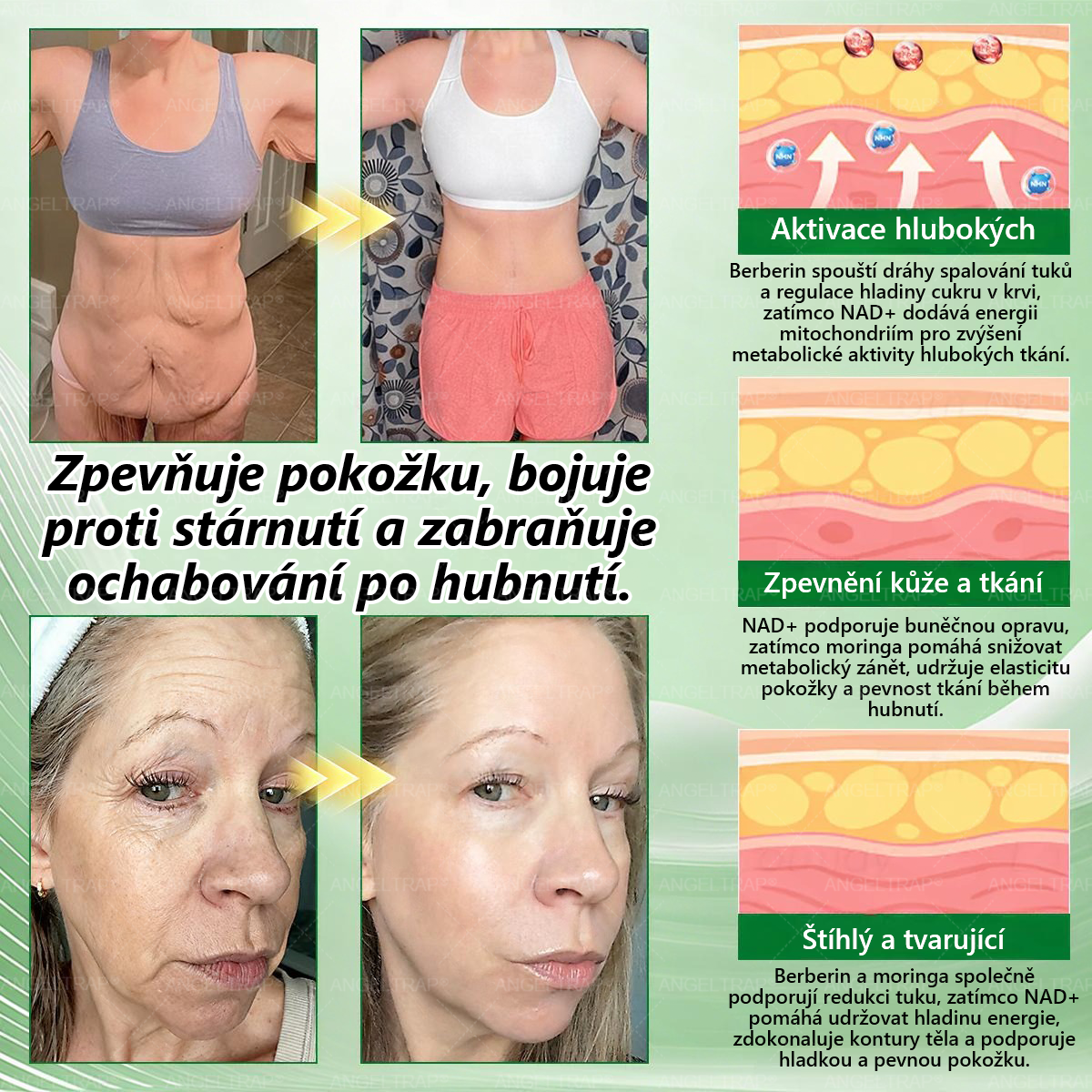 🚁🚁Oficiální prodejna  |  🧑‍⚕️ANGELTRAP® 𝐌𝐨𝐫𝐢𝐧𝐠𝐚 × 𝐁𝐞𝐫𝐛𝐞𝐫𝐲𝐧𝐚 × 𝐀𝐌𝐏𝐊 𝟏𝟎 v 1 – Zeštíhlující nano mikrojihlový náplast 🇨🇿 Jen 1× denně ✅ Viditelné změny za 7 dní – na obezitu, kardiovaskulární zdraví, diabetes a kloubní problémy